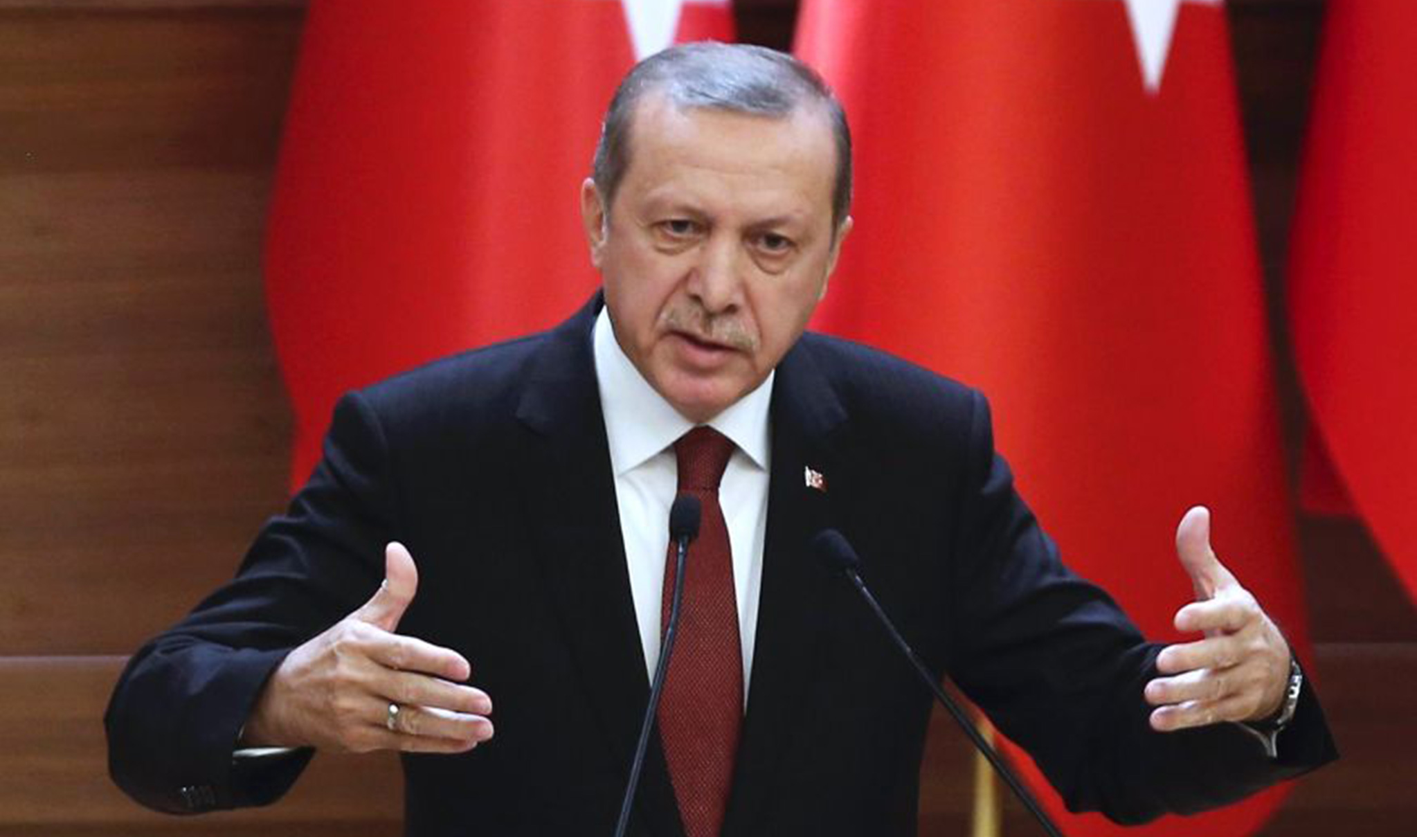 Veterinarian arrested for allegedly insulting Erdoğan