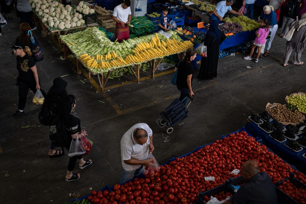 Hunger line surpasses Turkey’s 2024 minimum wage in January: union – Turkish Minute