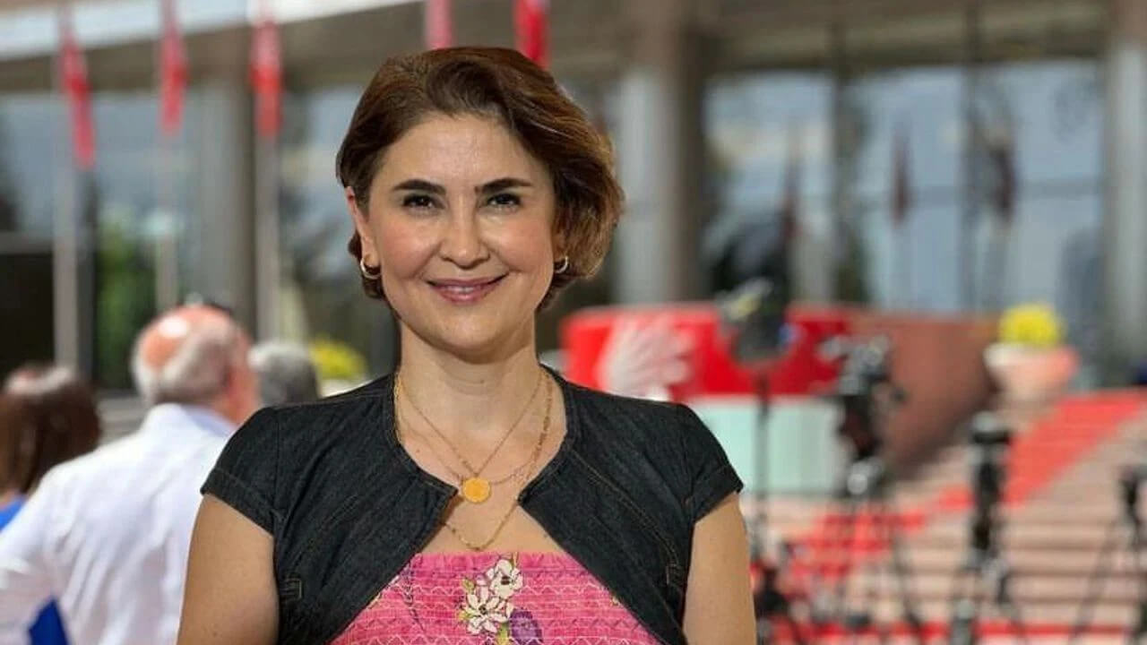 Journalist rebuked by Turkish party leader vows to continue profession