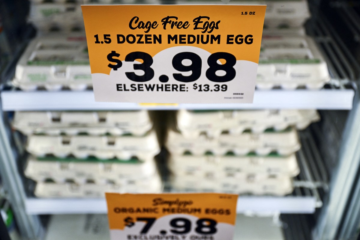 United States importing eggs from Korea, Turkey to help ease prices