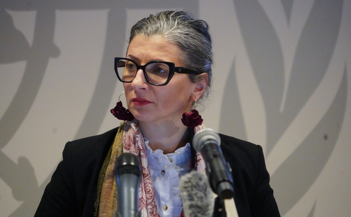 UN rapporteur urges Turkey to halt ship allegedly delivering steel to Israeli weapons industry
