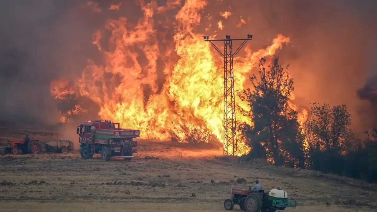 Turkey blocks probe into officials for alleged negligence in 2025 wildfire that killed 10